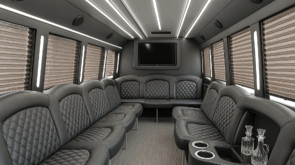 hemet 20 passenger party bus