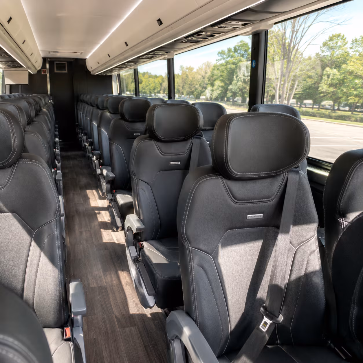 San Jacinto Wedding Transportation & Shuttle Service